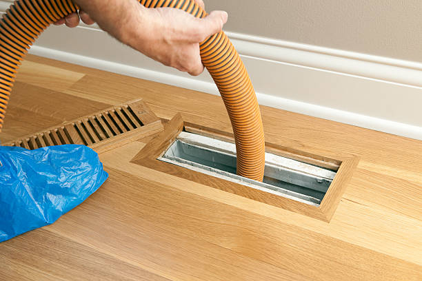 Best Dryer Vent Cleaning Services  in Wauchula, FL